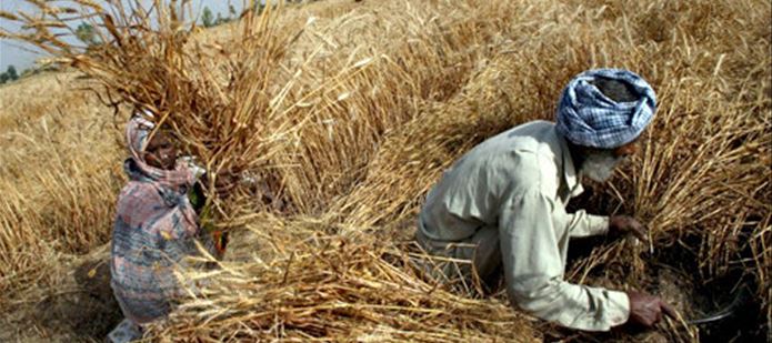 On World Food Day, "We need to produce more smartly and waste less"